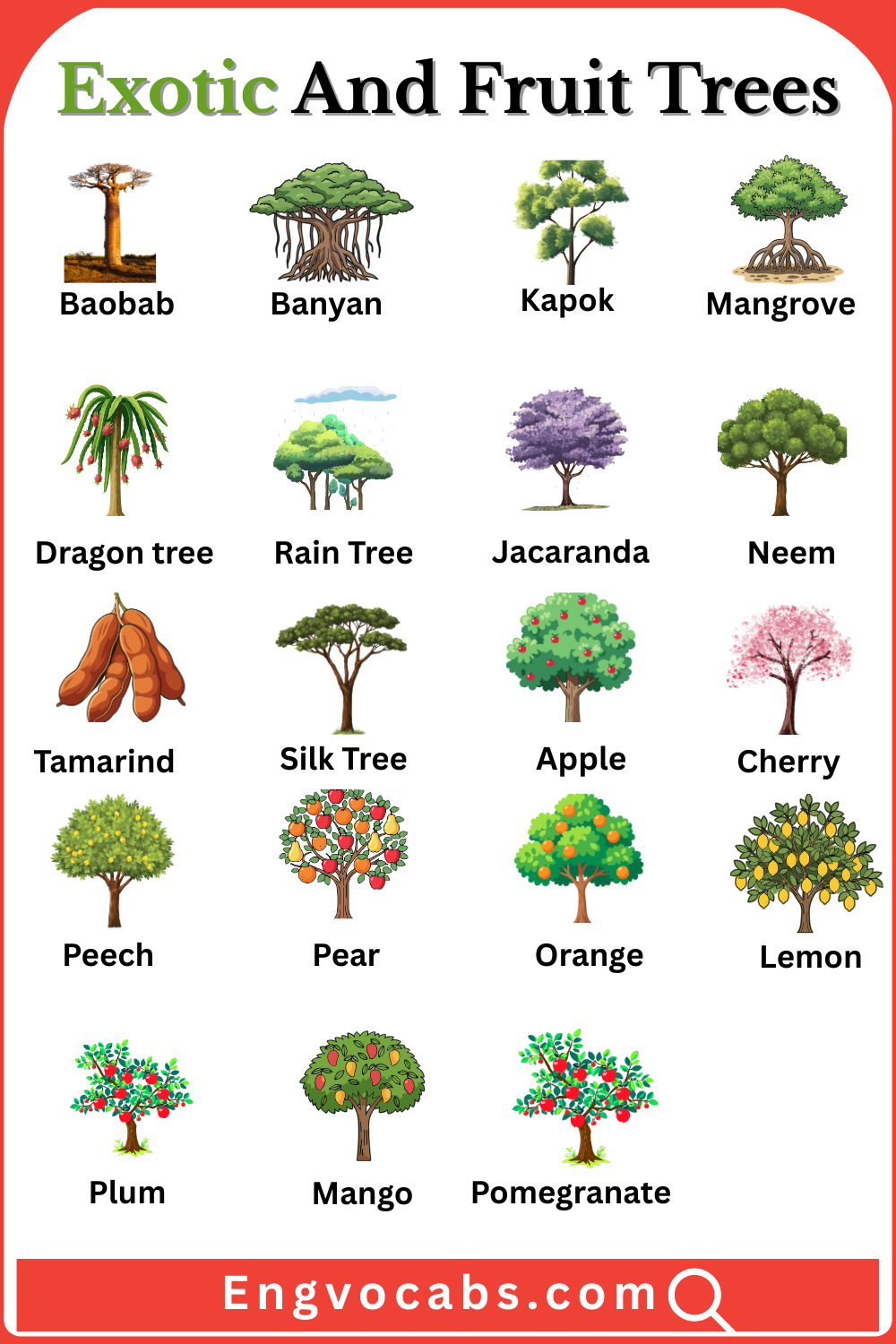 Exotic Trees And Fruit Trees