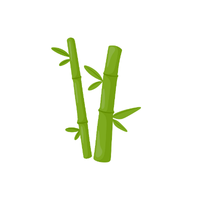 Bamboo