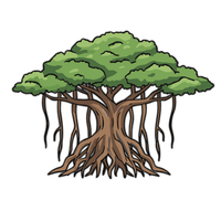 Banyan