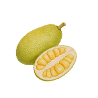 Jackfruit