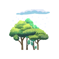 Rain Tree