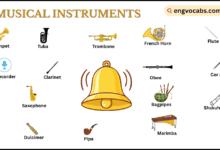 Musical Instruments Names in English with Pictures