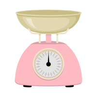 Kitchen Scale