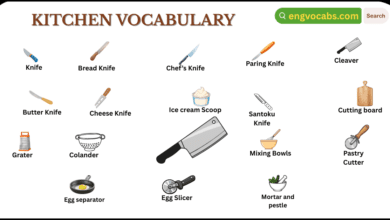 Kitchen Vocabulary Words in English with Pictures