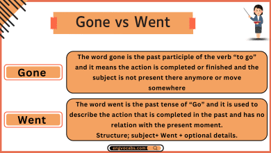 Gone vs Went