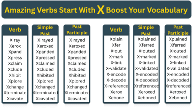 Verbs Start With X