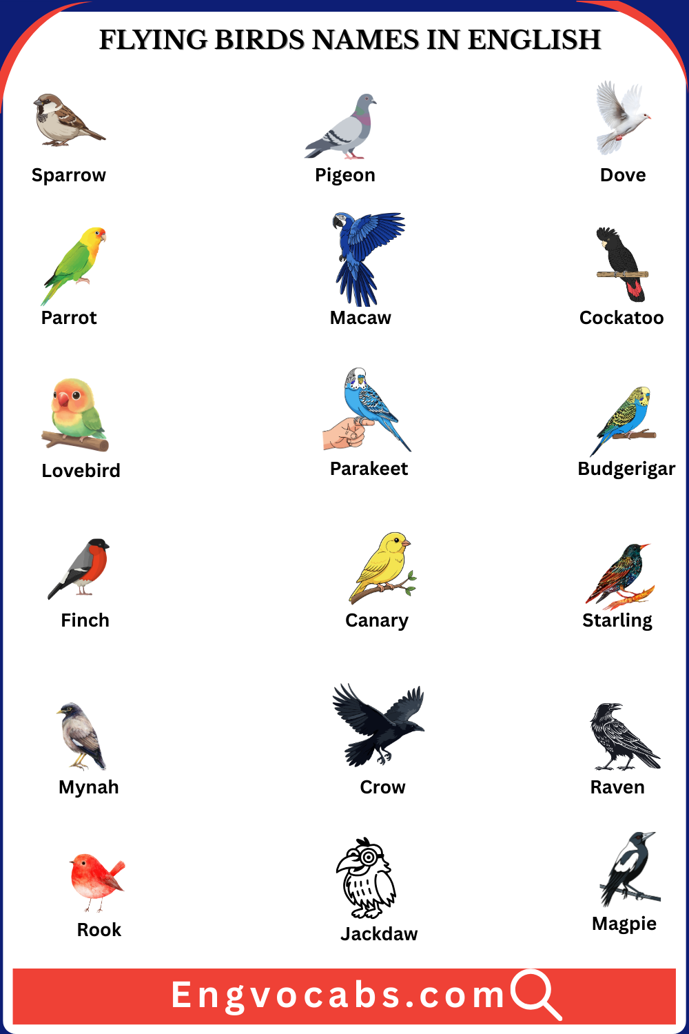 Flying Birds Names in English