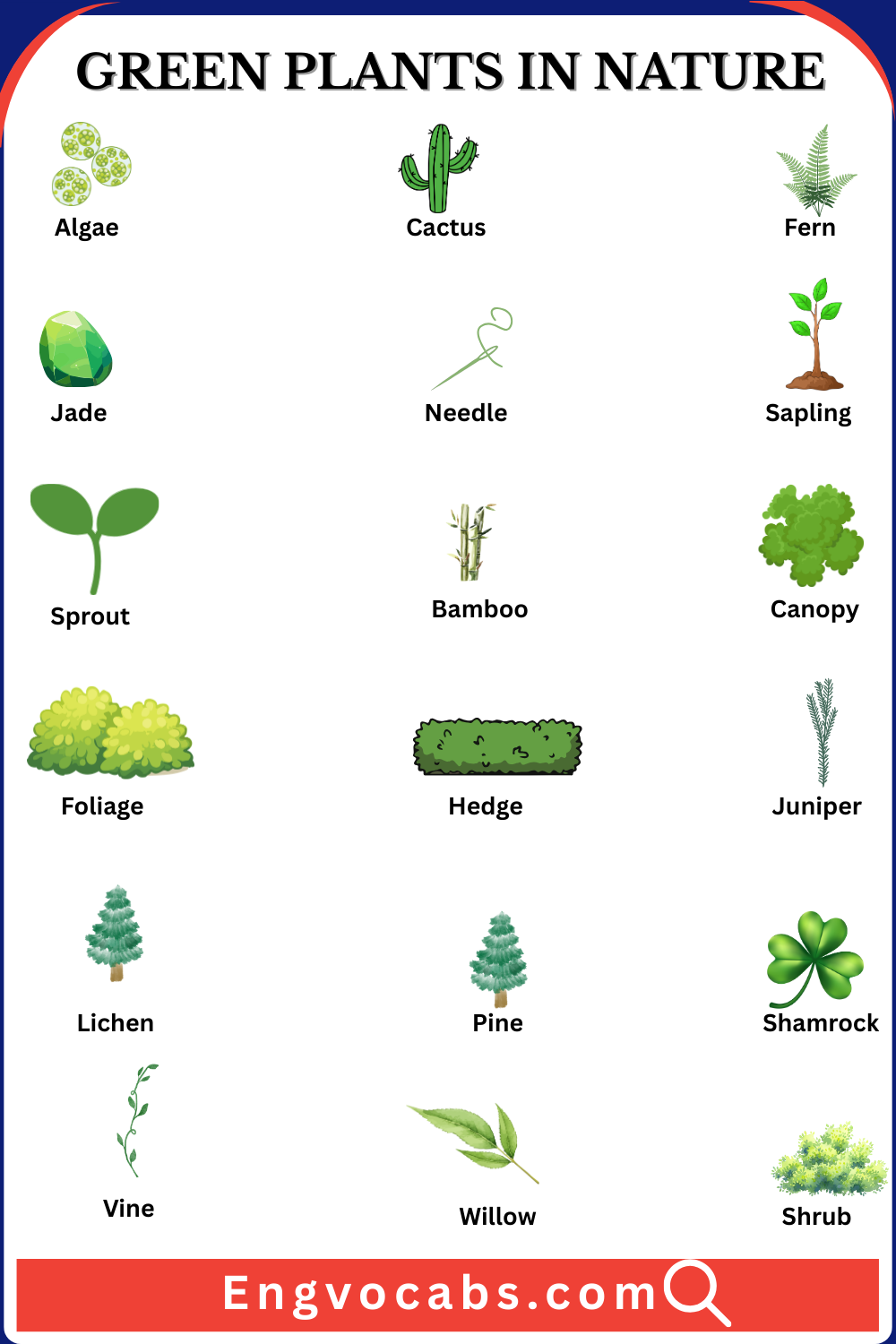 Green Plants in Nature