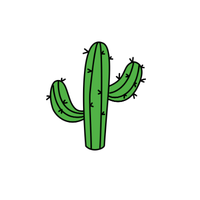 Cactus