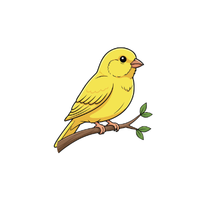 Canary