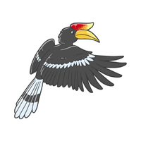 Hornbill