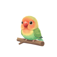 Lovebird