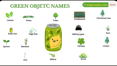 Green Objects Names in English with Pictures
