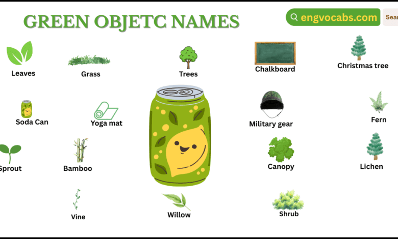 Green Objects Names in English with Pictures
