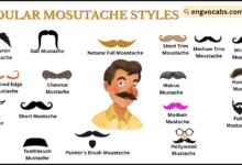 Moustache Styles and Their Names with Pictures