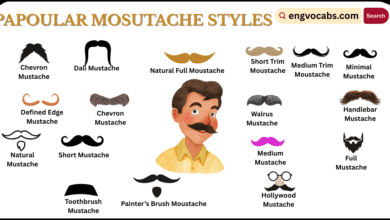 Moustache Styles and Their Names with Pictures