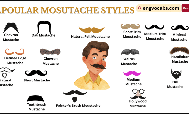 Moustache Styles and Their Names with Pictures