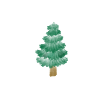 Pine