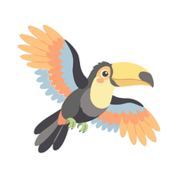 Toucan