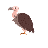 Vulture