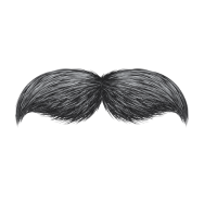 Walrus Mustache