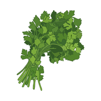 Wild Celery