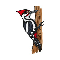 Woodpecker