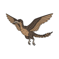 Archaeopteryx