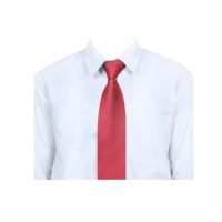 Shirt and Tie