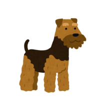 Airedale  Terrier