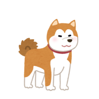 Akita