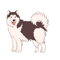 Alaskan Malamute
