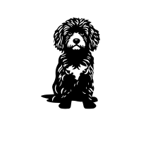 Barbet