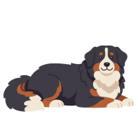 Bernese Mountain
