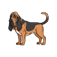 Bloodhound