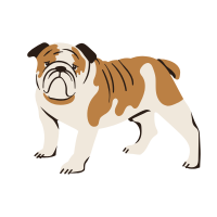 Bulldog