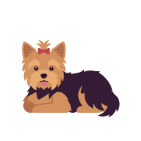Cairn Terrier