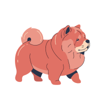 Chow Chow