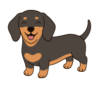 Dachshund