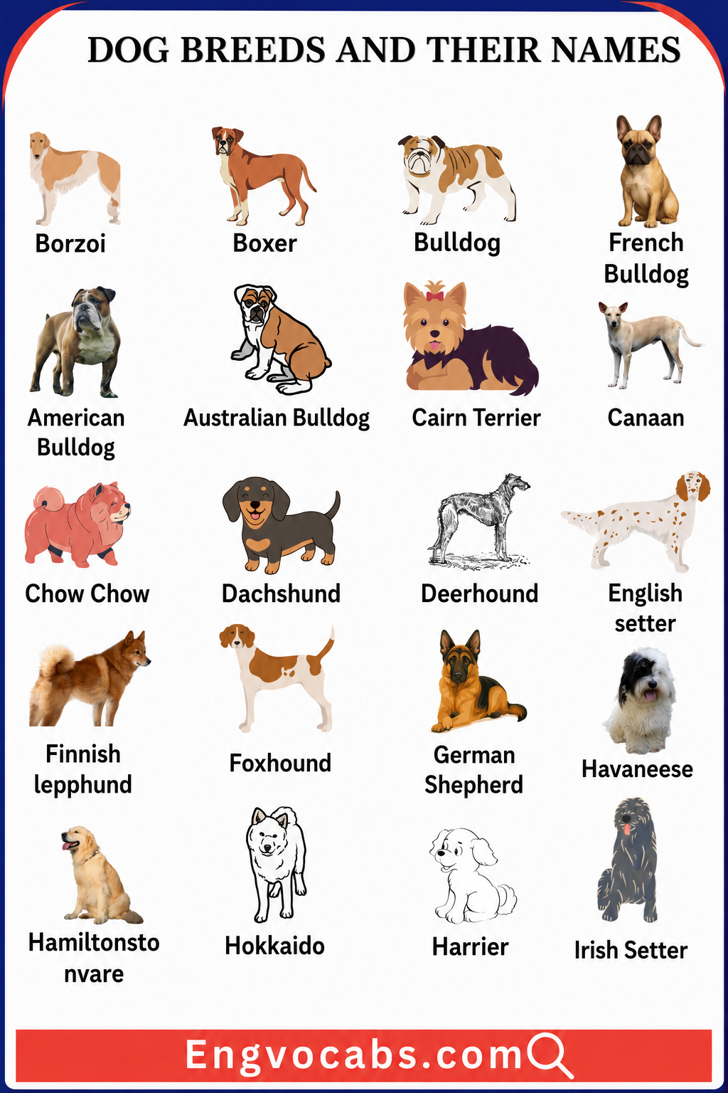 Dog Breeds and Their Names