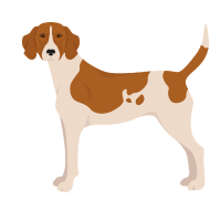 Foxhound