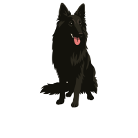 Groenendael